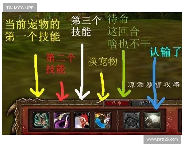 魔兽世界宠物对战升级攻略